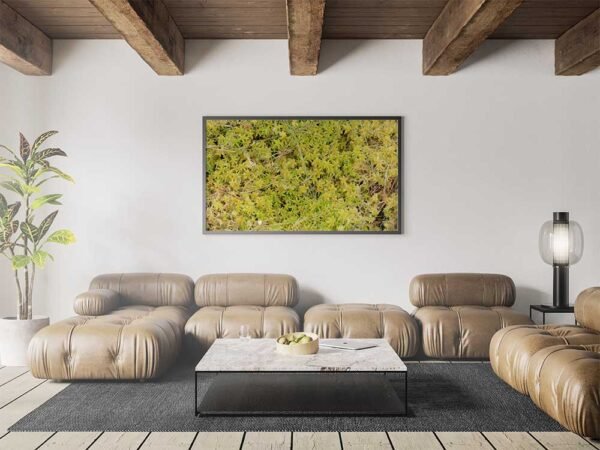 Example of a framed print with the A Bed Of Sphagnum Moss design hanging on a lounge wall.