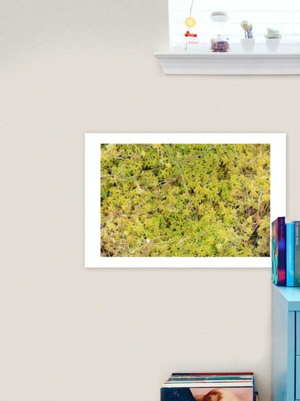 Example of an art print with the A Bed Of Sphagnum Moss design on a home office wall