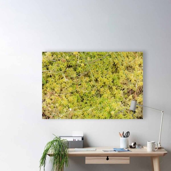 Example of a poster with the A Bed Of Sphagnum Moss design hanging on a home study wall