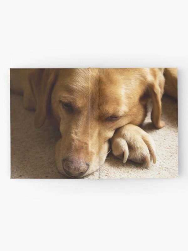 A hardcover journal with a photo of Willow The Wanderer, a fox red Labrador sleeping.