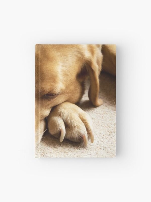 A hardcover journal with a photo of Willow The Wanderer, a fox red Labrador sleeping.