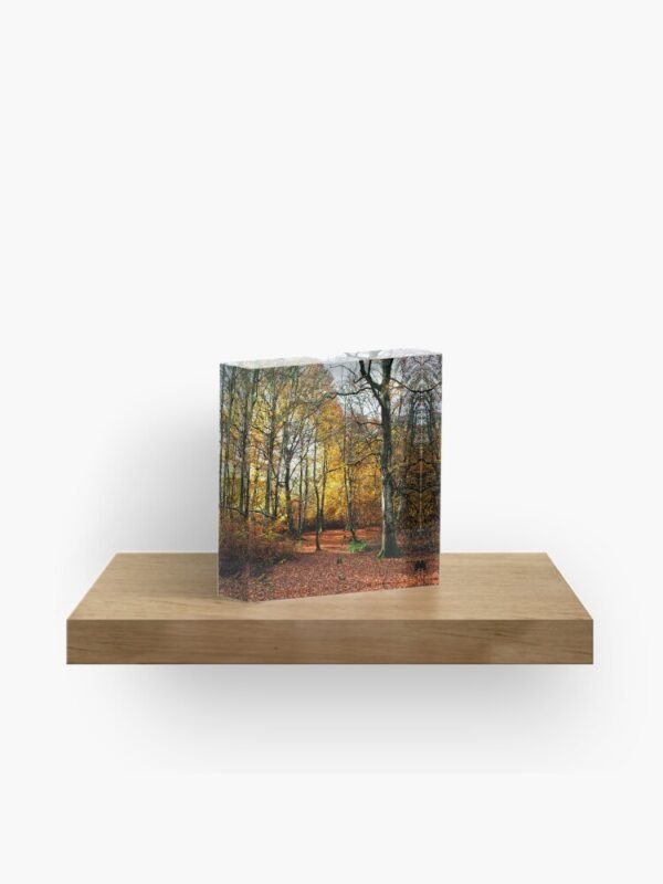 The Warm Woods Acrylic Block