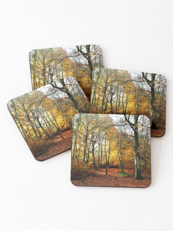 The Warm Woods set of 4 Coasters
