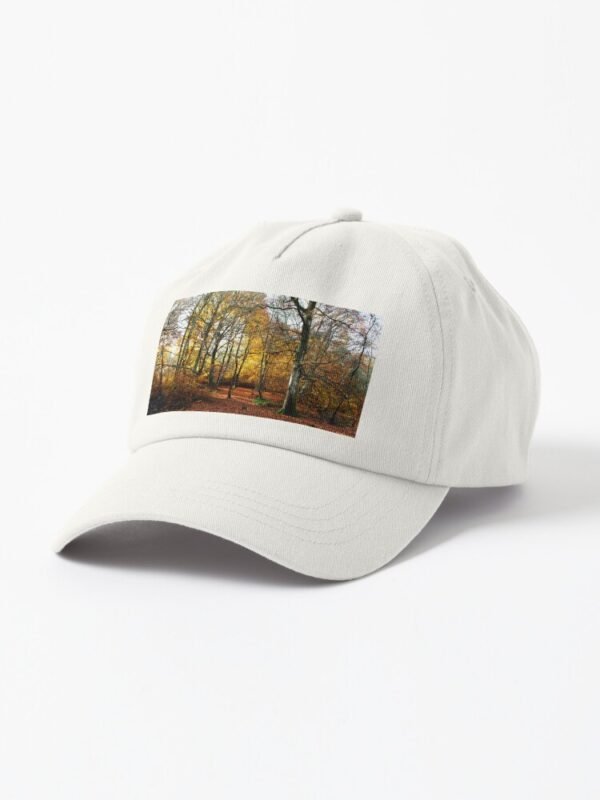 The Warm Woods Dad Hat