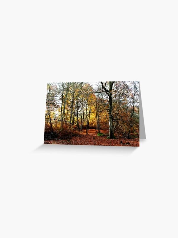 The Warm Woods Greetings Card