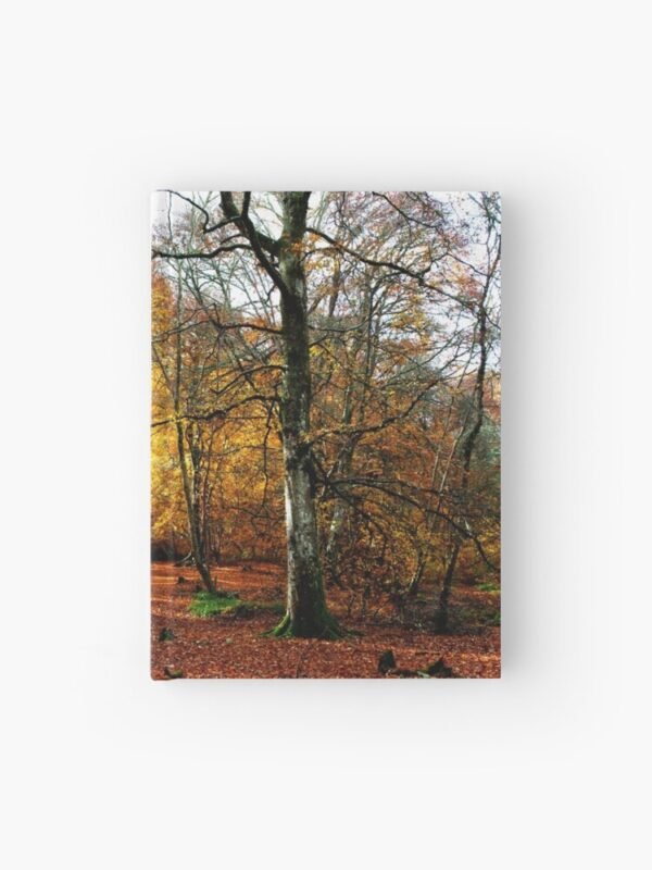 The Warm Woods Hardcover Journal