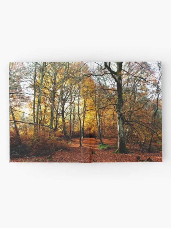 The Warm Woods Hardcover Journal