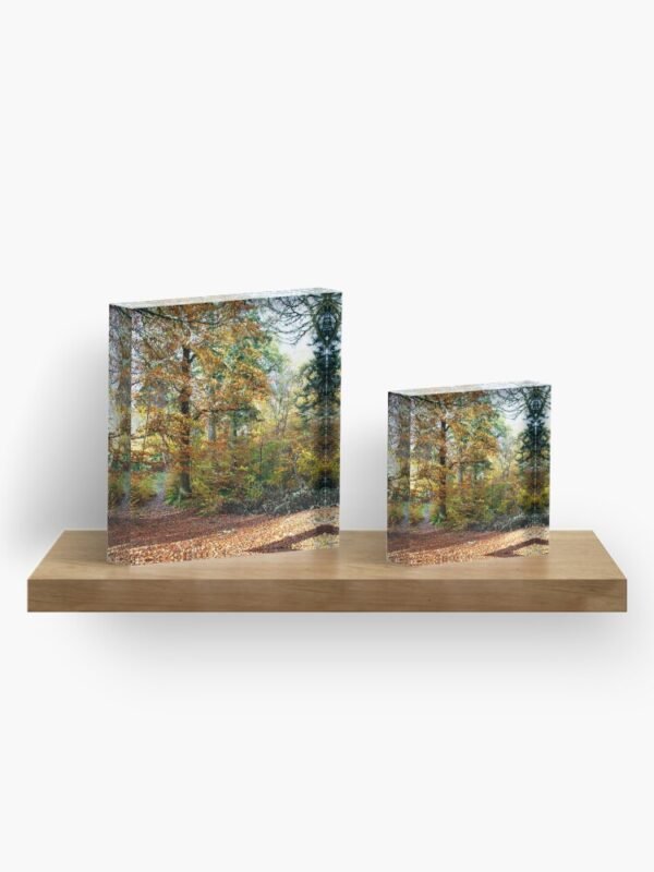 Amongst the Memories Acrylic Blocks - two different sized blocks sitting on a shelf