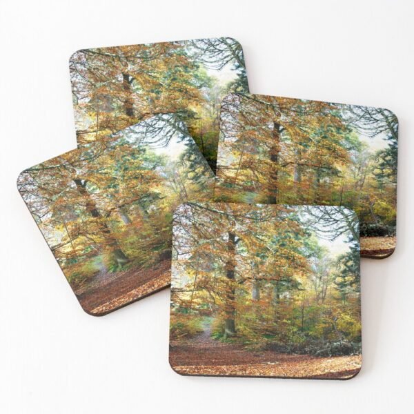 Amongst the Memories set of 4 Coasters