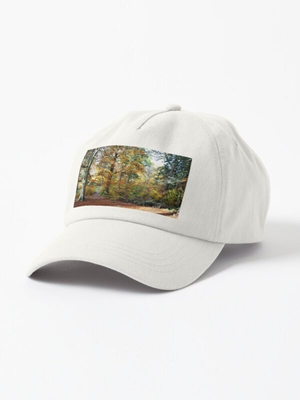 Amongst The Memories Dad Hat