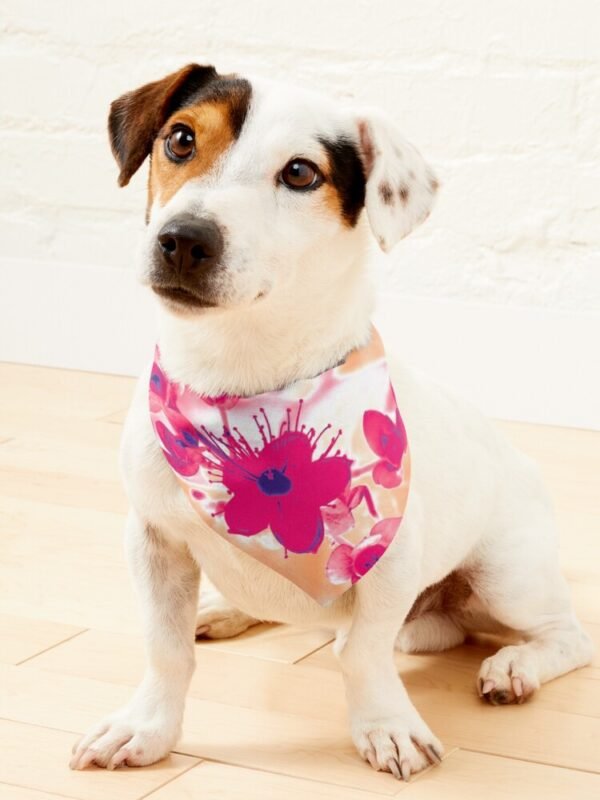 Alternative Hypericum pet bandana being worn by a small dog
