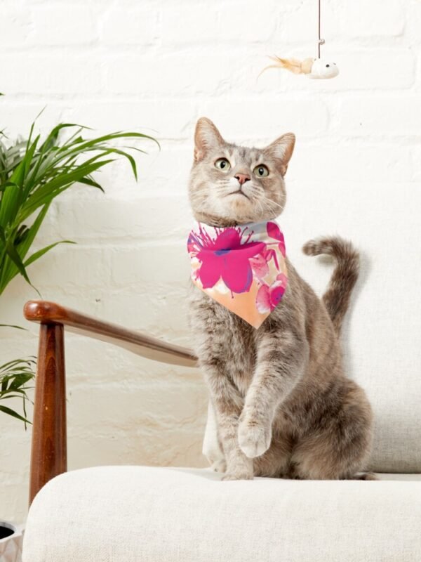 Alternative Hypericum pet bandana being worn by a cat