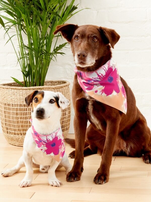 Alternative Hypericum pet bandana being worn by two different dogs