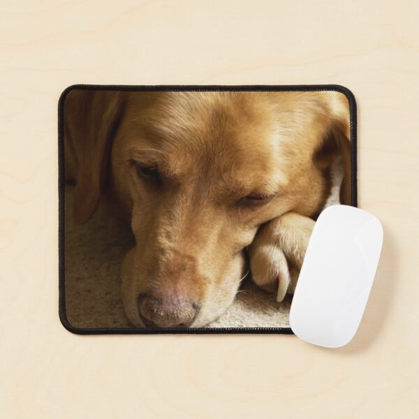 A mouse mat/pad with a photo of Willow The Wanderer, a fox red Labrador sleeping.