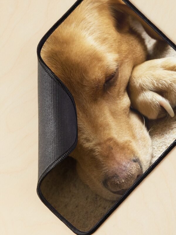 A mouse mat/pad with a photo of Willow The Wanderer, a fox red Labrador sleeping. The mat is curled over at one corner to show the backing.