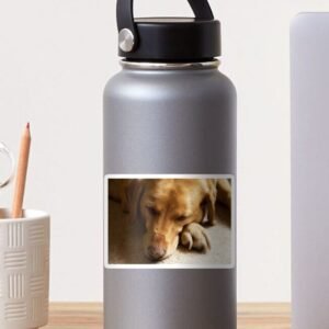 A water bottle sporting a sticker with the Willow The Wanderer Sleeping design
