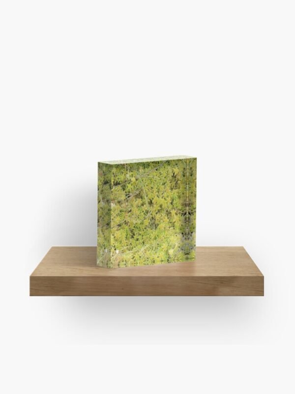 A Bed of Sphagnum Moss acrylic block on a shelf