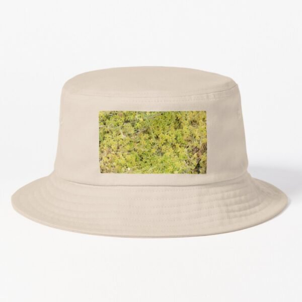 A Bed of Sphagnum Moss Bucket Hat