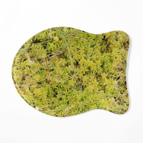 A Bed of Sphagnum Moss fish shaped pet mat
