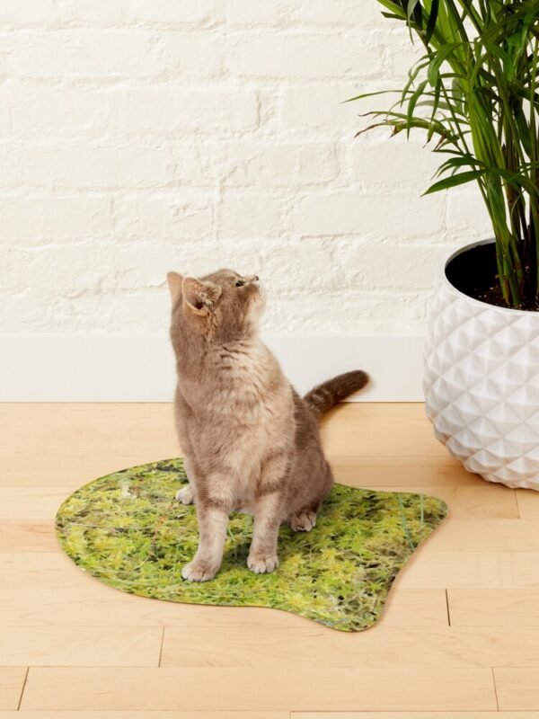 A Bed of Sphagnum Moss fish shaped pet mat with a cat sitting on the mat