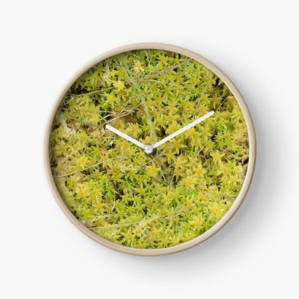 A Bed of Sphagnum Moss clock with white hands and a bamboo coloured frame