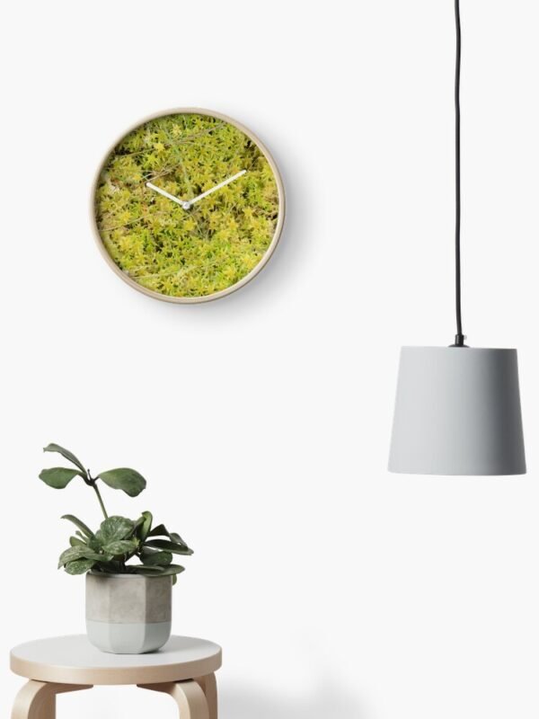 A Bed of Sphagnum Moss clock on a wall beside a drop light with a table and a pot plant underneath it.
