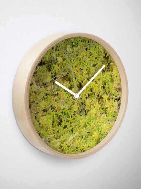 A Bed of Sphagnum Moss clock