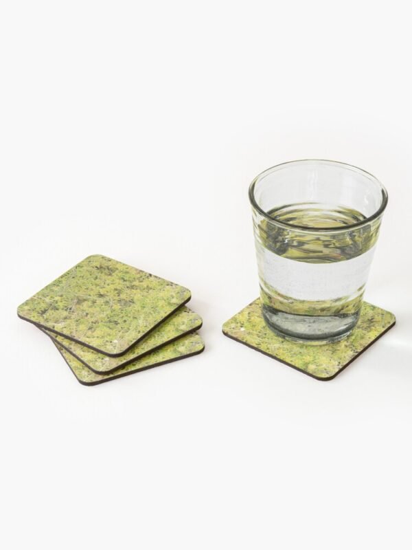 A Bed of Sphagnum Moss set of 4 coasters - one with a glass of clear liquid sitting on it, while the other coasters are stacked on each other.