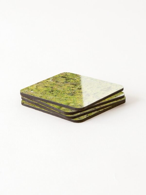 A Bed of Sphagnum Moss set of 4 coasters all stacked upon each other