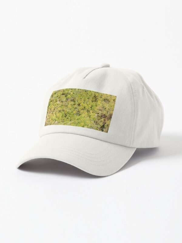 A Bed of Sphagnum Moss Dad Hat