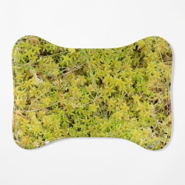 A Bed of Sphagnum Moss bone shaped pet mat