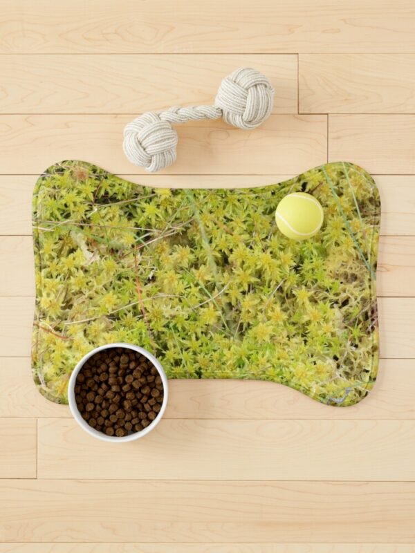 A Bed of Sphagnum Moss bone shaped pet mat with a bowl of food and a ball lying on the mat and another toy beside it