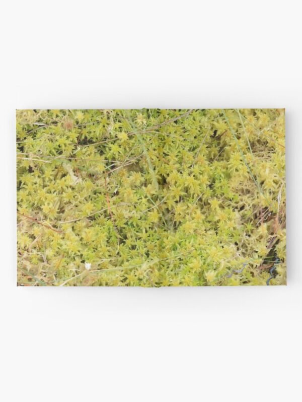A Bed of Sphagnum Moss hardcover journal - open fully to show the complete hard cover.