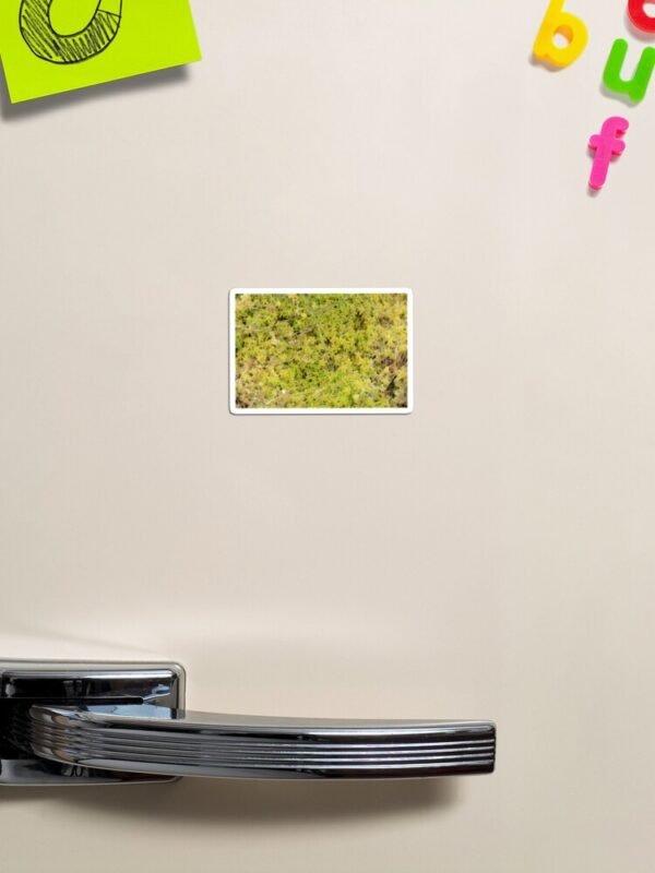 A Bed of Sphagnum Moss magnet on the door of a fridge