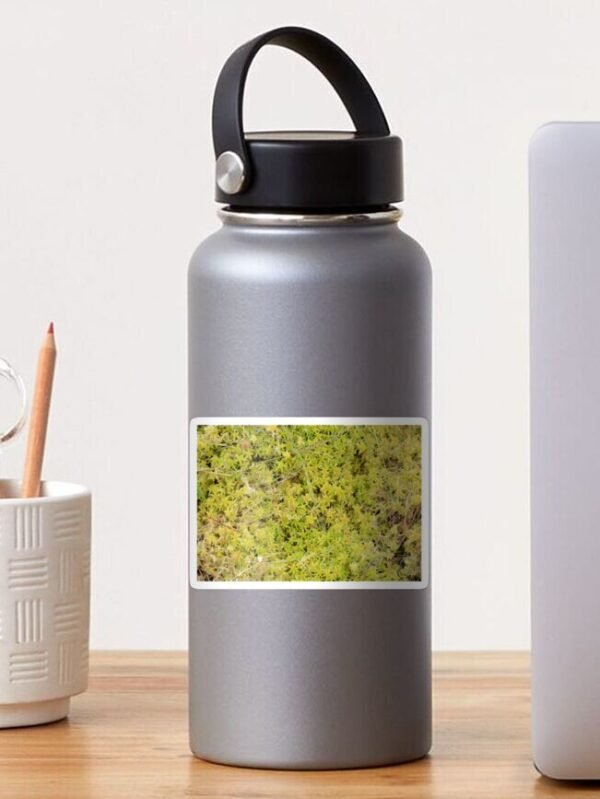 A Bed of Sphagnum Moss sticker on a water bottle