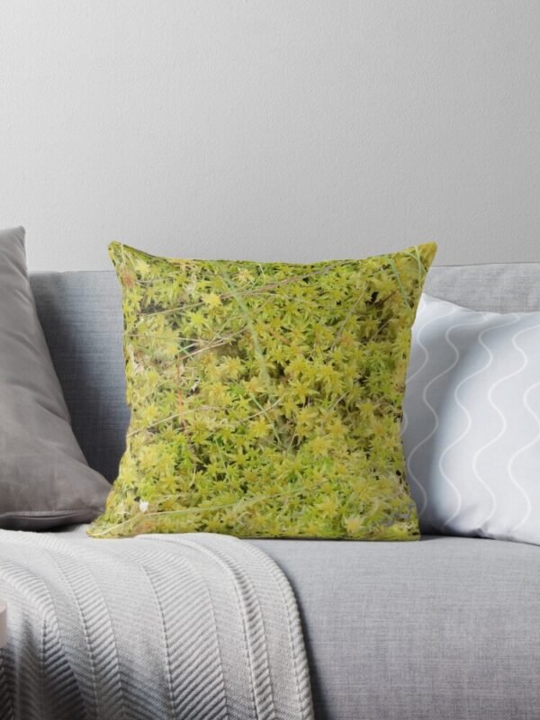 A Bed of Sphagnum Moss cushion / throw pillow lying on a sofa