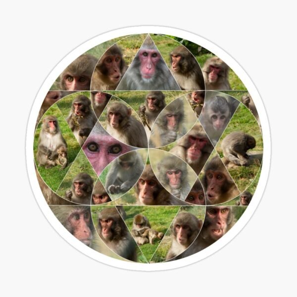 A sticker sporting the Many Faces Of A Snow Monkey design.