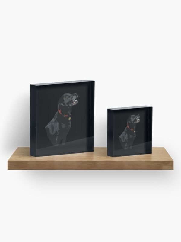 Adoration of a Black Labrador Acrylic Block - two different sized blocks on a shelf