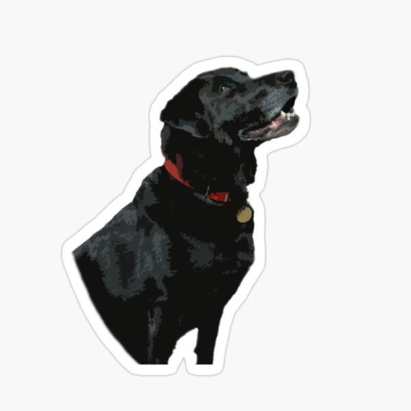 Adoration From A Black Labrador sticker